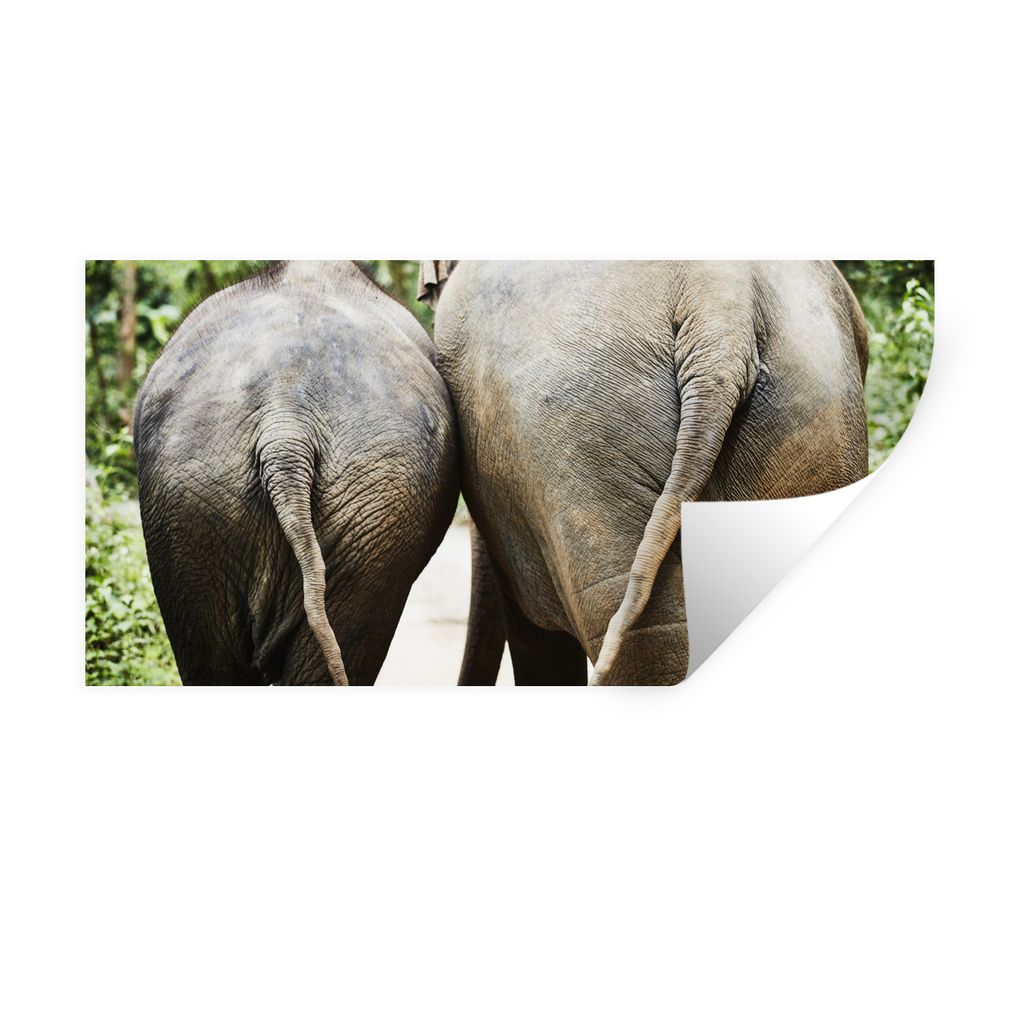 MuchoWow Wandtattoo Wandsticker Wandaufkleber Elefant - Tiere - Grau - Natur 80x40 cm Selbstklebend und Repositionierbar - Aufkleber