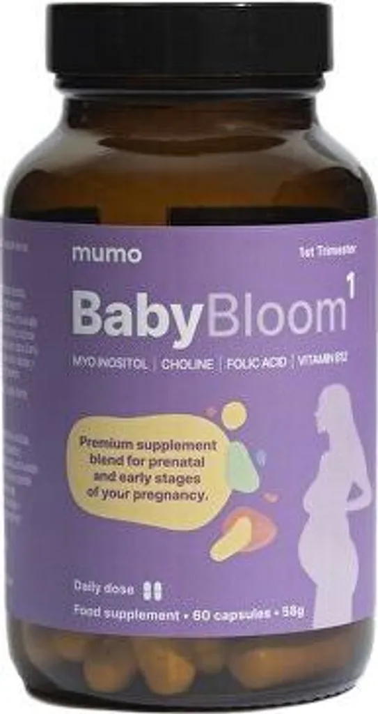 Complément Planification Grossesse BabyBloom 1 et Premier Trimestre 60 u