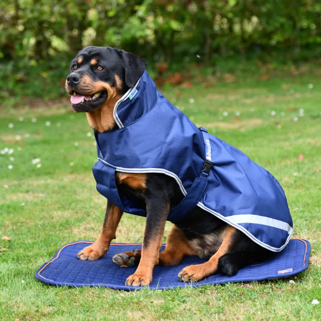Letto Terapeutico Bucas Therapy M 88x58 cm | Per Cani Sportivi e Agility