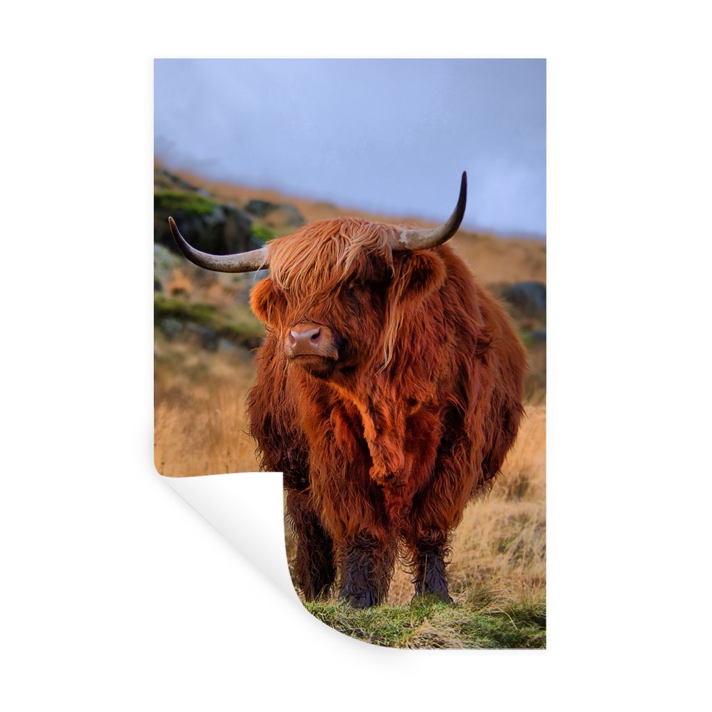 MuchoWow Wandtattoo Wandsticker Wandaufkleber Schottische Highlander - Gras - Steine 60x90 cm Selbstklebend und Repositionierbar - Sticker - Deko...