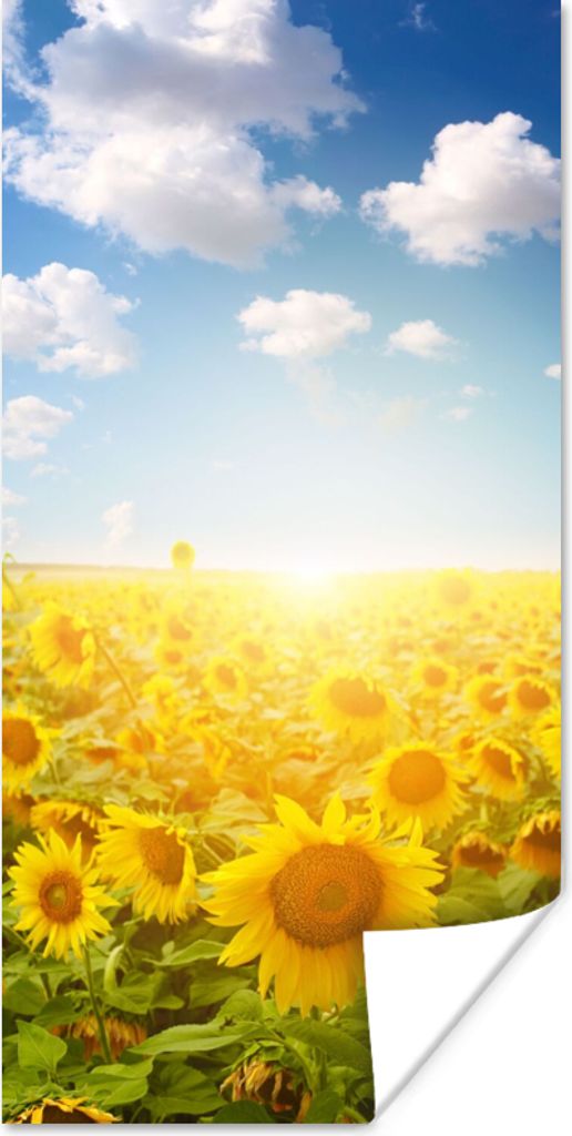MuchoWow Poster Sonnenblume - Sonne - Wolken 80x160 cm - Kinderzimmer