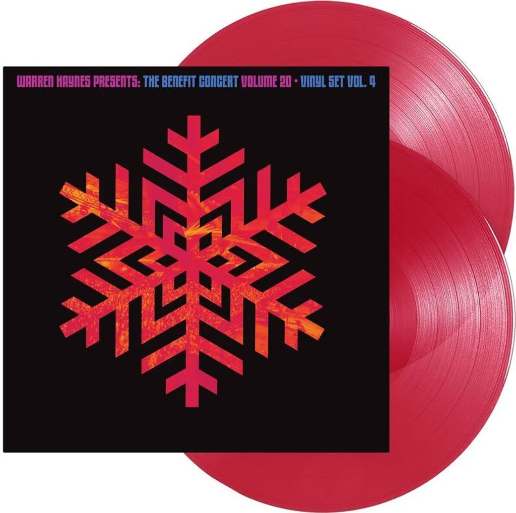 Vinyle live rock Warren Haynes Benefit Concert pour soirée hifi