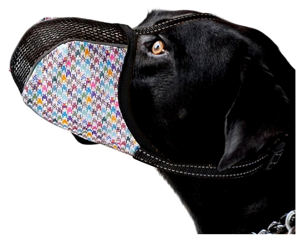 Hundemaulkorb, Verstellbarer Weicher Netzmaulkorb Mit Bellen-Schutz | Luftiges Mesh Schützt Vor Wildtieren Und Nahrungsaufnahme