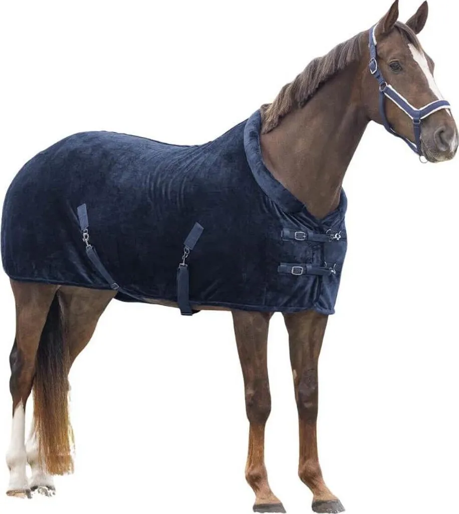 QHP Sensisoft Sottosella: Il Segreto per Cavalli Felici