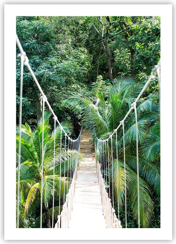Poster - Poster ohne Rahmen - Tropen Dschungel Brücke - 50x70 cm - Wand Bild - Wanddeko - Wandbilder - Kunstposter - Wandposter - Bilder - Kunstdr...