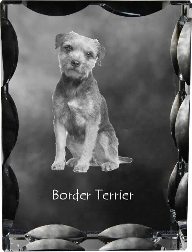 Cristallo Border Terrier Art-Dog: Statuetta Vetro con Foto Personalizzata