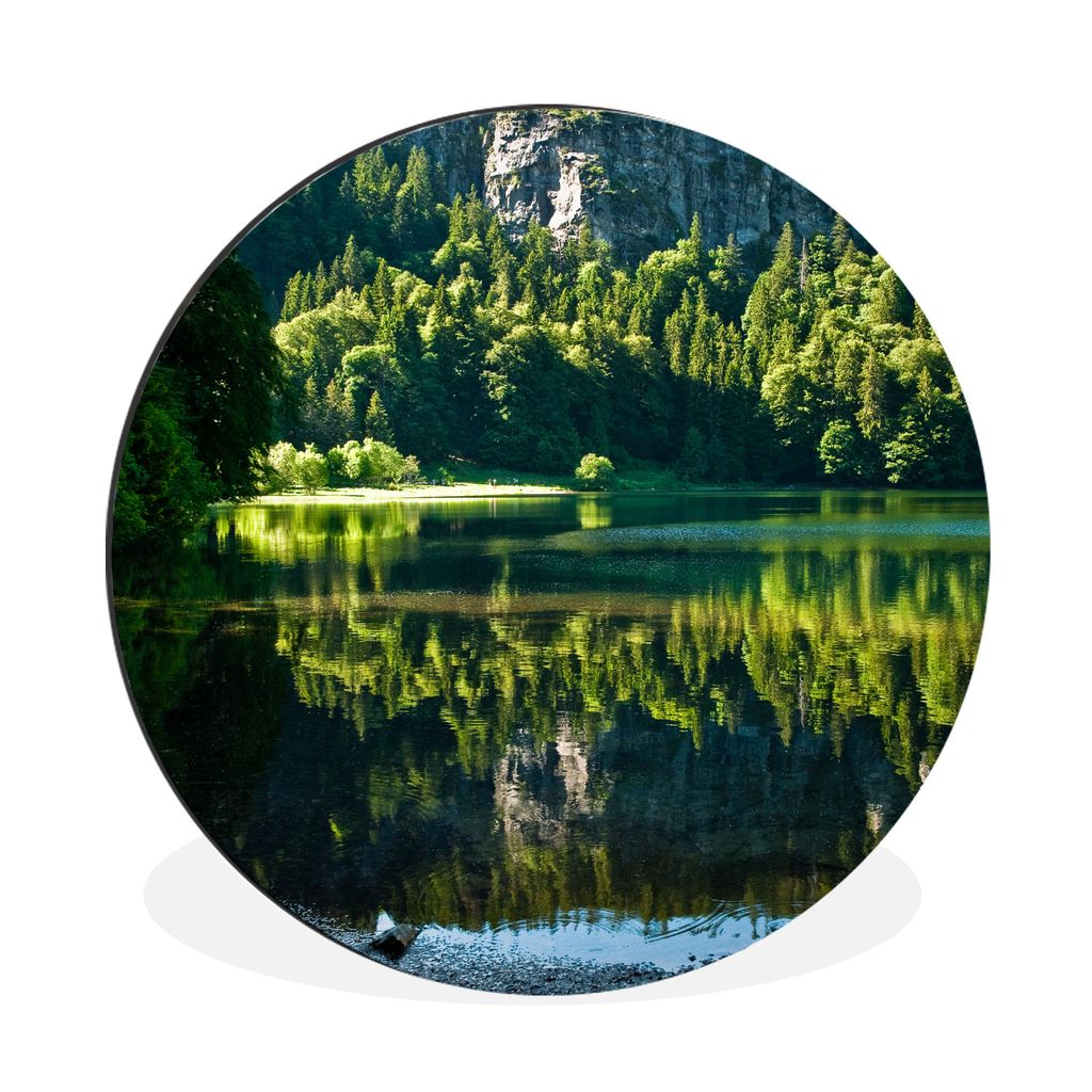 MuchoWow Aluminium Wandkreis Blick vom Ufer des Feldsees im deutschen Schwarzwald Ø 30 cm Wanddeko Modern Wohnzimmer - Wand Bild - Wohnzimmer - ...