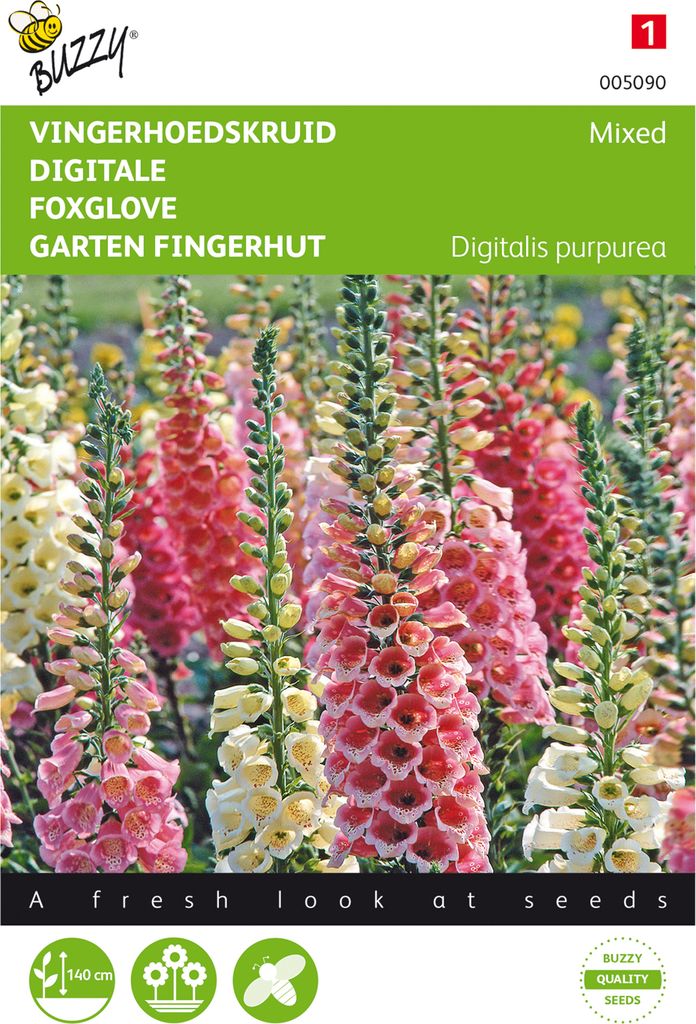 Garten Fingerhut Mischung | Fingerhutsamen von Buzzy Seeds