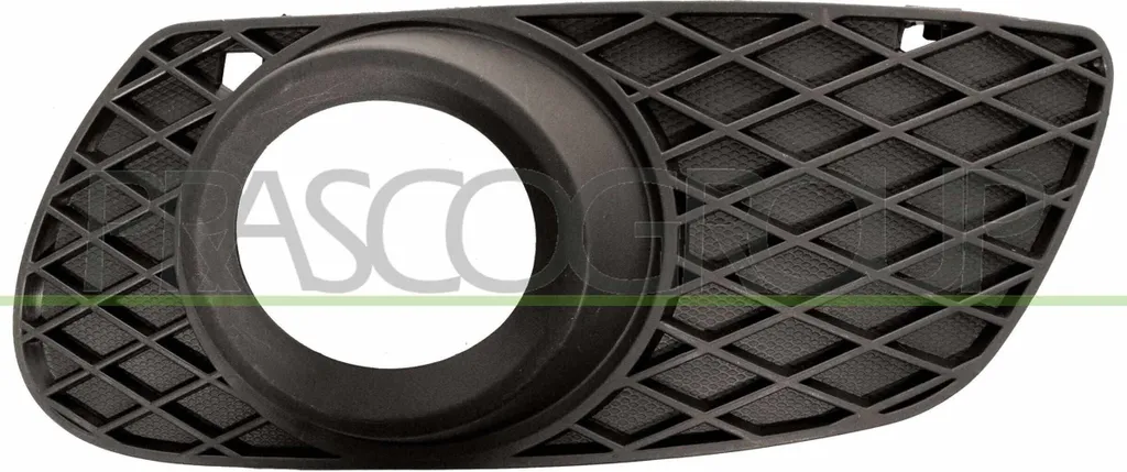 Protezione Fendinebbia Sinistra PRASCO per Mercedes M-Class W164
