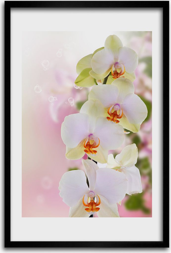 Bild - Bilderrahmen - 40 cm x 60 cm - MDF - Rahmen - Wandkunst - Weiße Orchidee