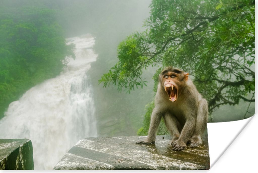 MuchoWow Poster Schreiender Affe vor Wasserfall 30x20 cm - Plakate - Print