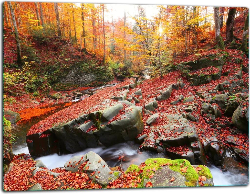 Glasschneidebrett Herdabdeckplatte Glaskeramikkochfeld Universal 52x40 cm Landschaft
