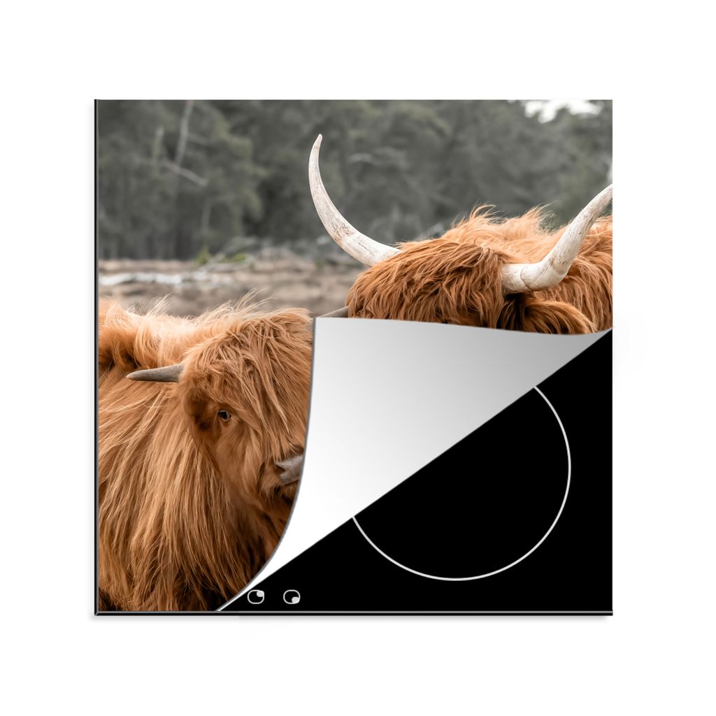 KitchenYeah Herdabdeckplatte Schottischer Highlander - Tiere - Wald , 78x78cm, Küche Deko, Glaskeramikkochfeld Herdabdeckung, Abdeckplatte fùr ...