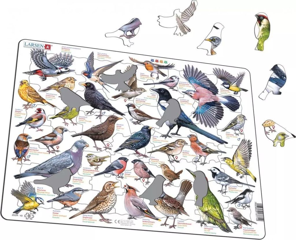 Układanka Garden Birds Ptaki ogrodowe polne Maxi Image du produit 