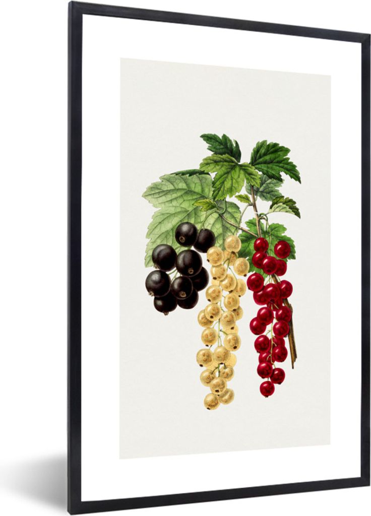 MuchoWow Gerahmtes Poster Beeren - Obst - Gesund 40x60 cm - Poster mit Schwarzem Bilderrahmen Wandposter Rahmen Foto Bilder - Papierdruck - Wandb...