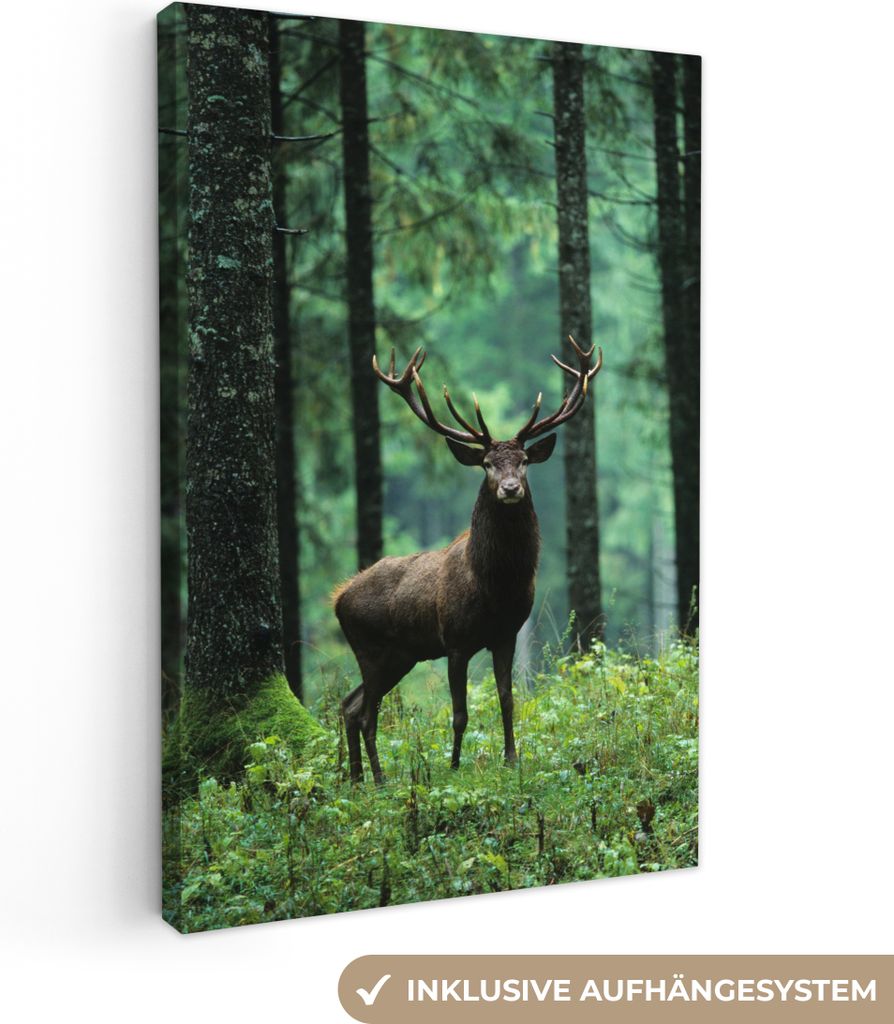 MuchoWow - Leinwandbilder - Hirsche - Wald - Bäume - Tiere - Natur, Wandbild, Wanddeko Bilder Wohnzimmer, 60x90 cm