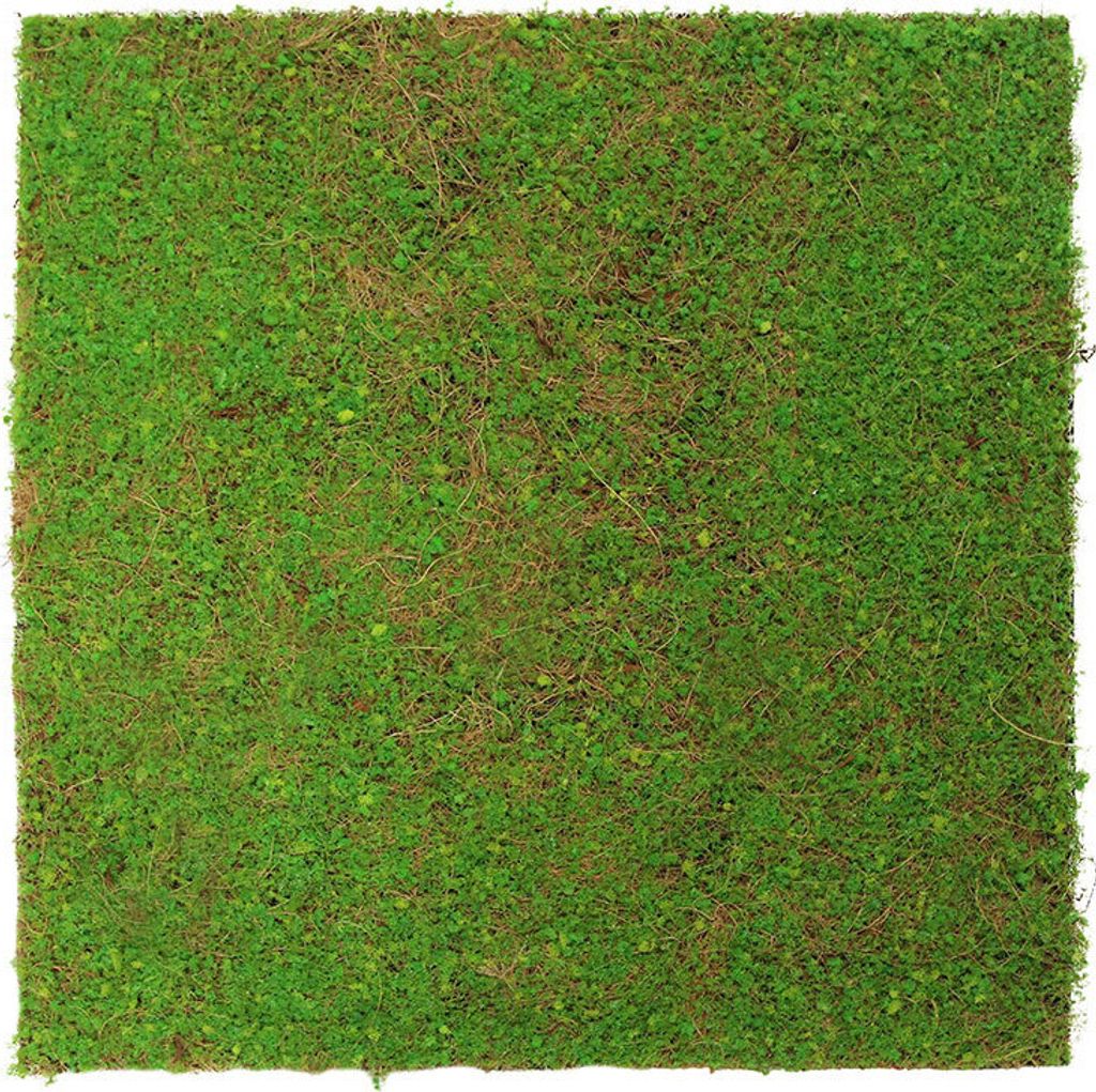 JANGAL Modular Wall Akustik 3D Paneele 520 x 520 mm Light Green Coconut Kunst Pflanzenwand Naturfaser