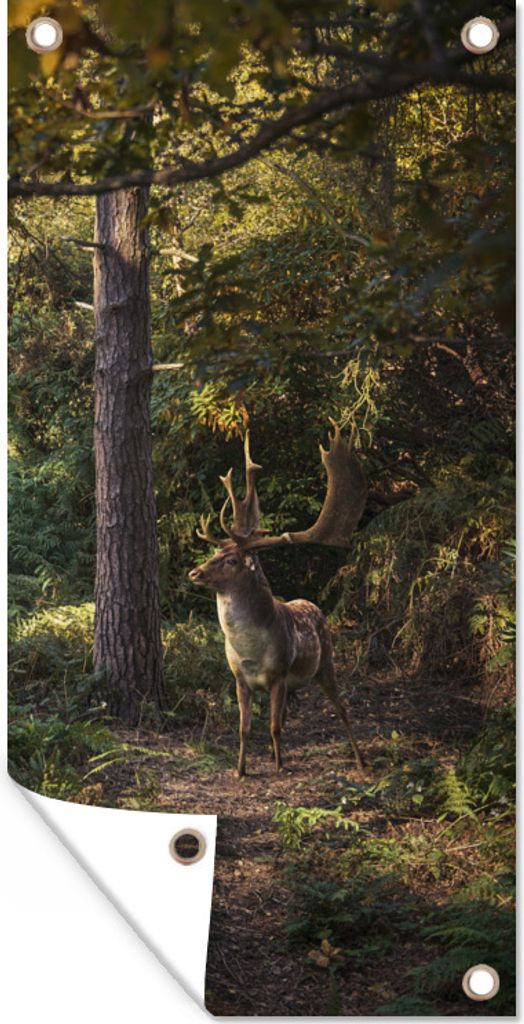 MuchoWow 40x80 cm Outdoor-Poster Gartendeko Sichtschutz Garten Poster für den Garten Hirsch - Geweih - Wald - Herbst