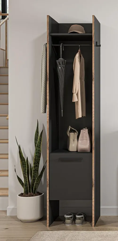 Bueno Armoire de Rangement 1 Porte et 2 Crochets, Gris Foncé - 1 Étagère