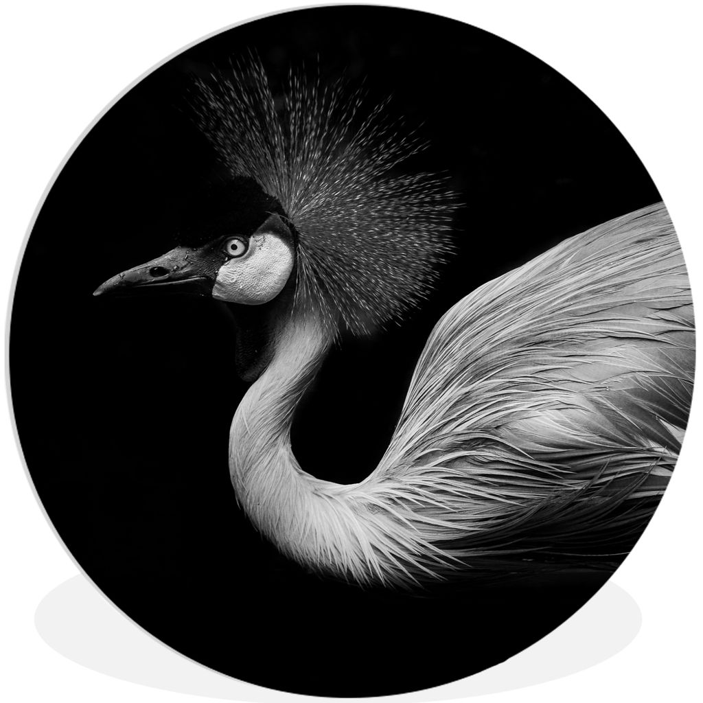 MuchoWow Rundes Wandbild - Runde Bilder Kranich - Schwarz - Weiß - Vogel - Tiere Ø 60 cm Kreis Wanddekoration Kunststoff - Wandkreis - Wandschm...