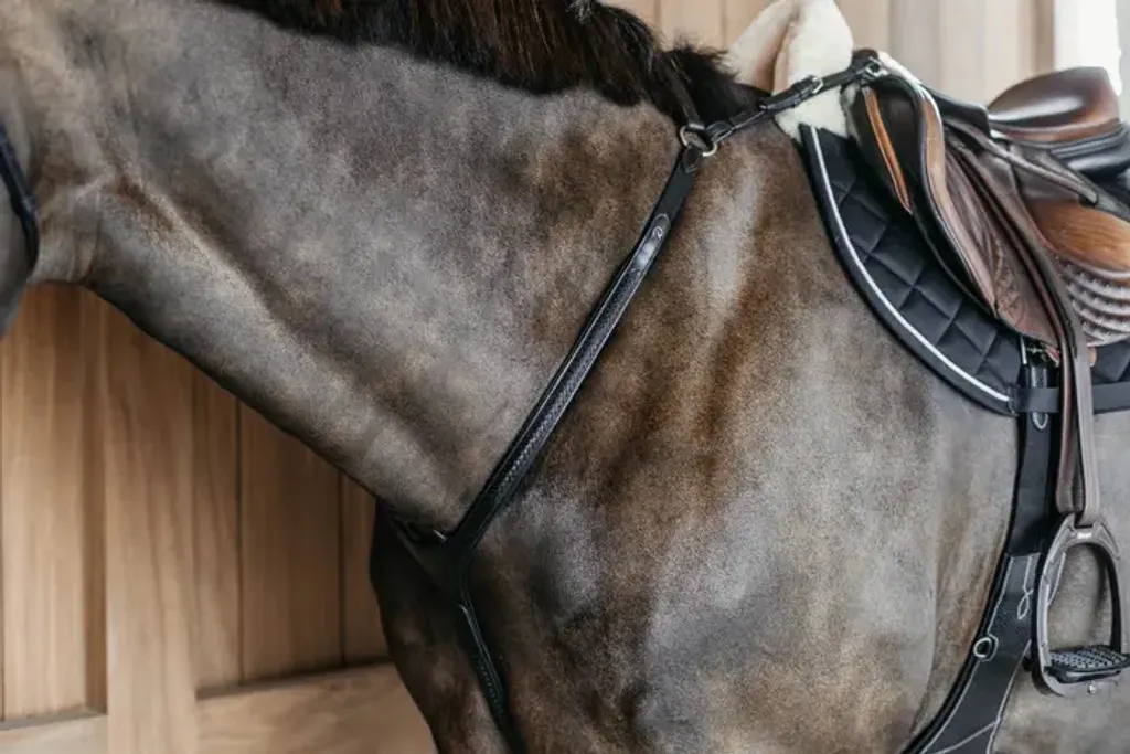 Collier de chasse Dyon pont tressé : fini la selle qui glisse en arrière