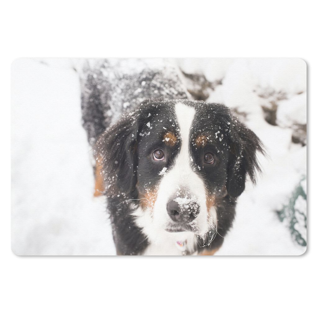 MuchoWow Mauspad Mousepad Berner Sennenhund in einer verschneiten Landschaft 27x18 cm - Mousepads - Maus Mat - Pad - Mausunterlage - Büroartikel...