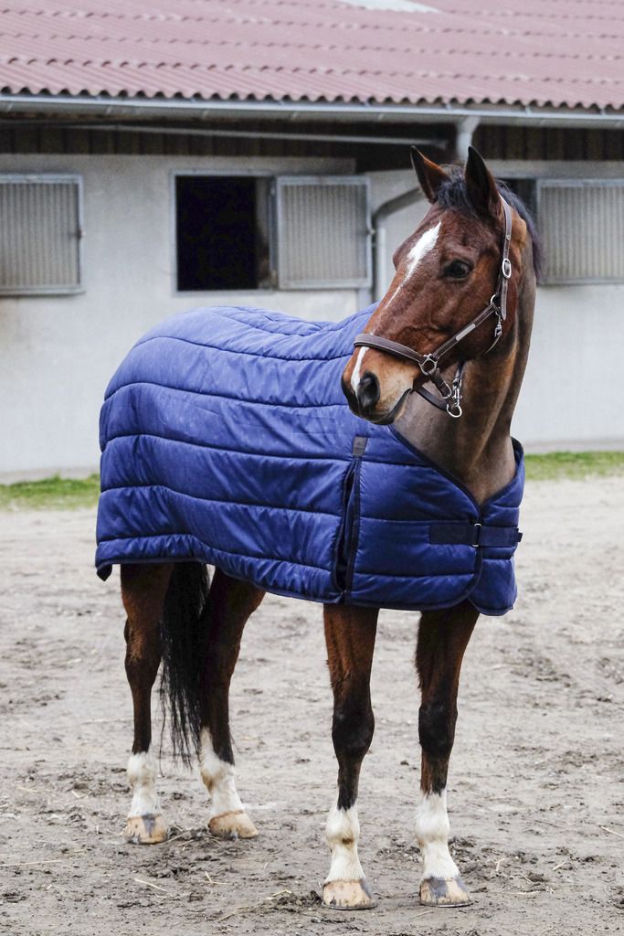 Equithème Classic 200g Unterdecke