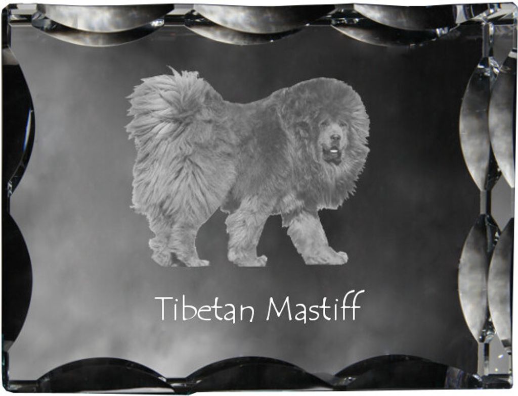 Do khyi, Tibetdogge, Tibetanische Dogge, Tibetmastiff - Kristall mit einem Hundebild, Glasstatuette mit einem Bild, einzigartiger Bilderrahmen der ...