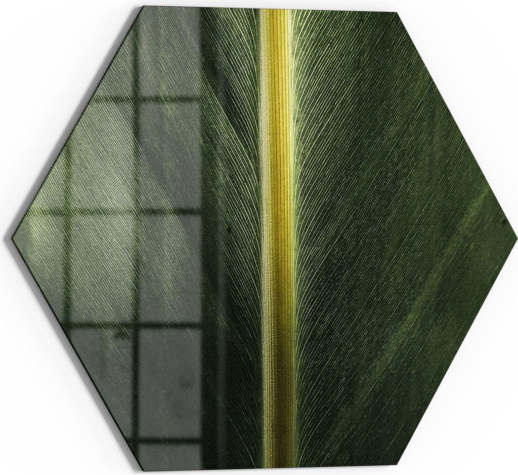 DEQORI Glasbild Echtglas 55x48 cm 'Grüne Blattader' Wandbild Bild modern Deko