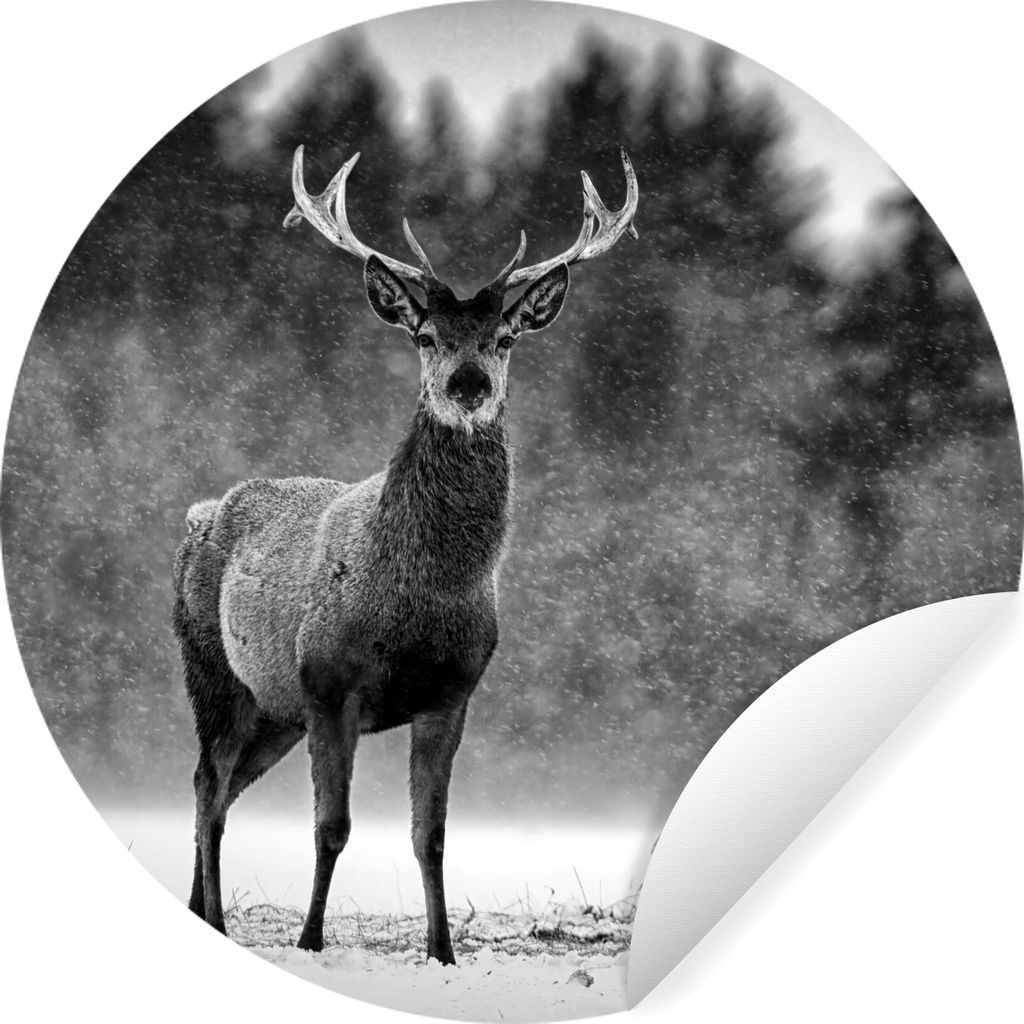 MuchoWow Runde Wandtattoo - Wandsticker Tapete Aufkleber Tiere - Hirsche - Winter - Schwarz - Weiß Ø 30 cm Selbstklebend und Repositionierbar -...