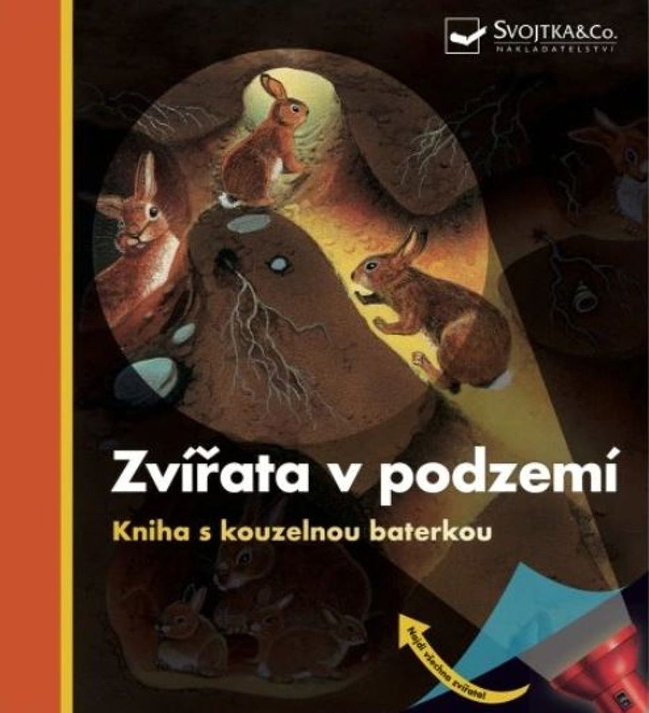 Svojtka & Co. Umgedrehtes Buch mit magischer Taschenlampe
