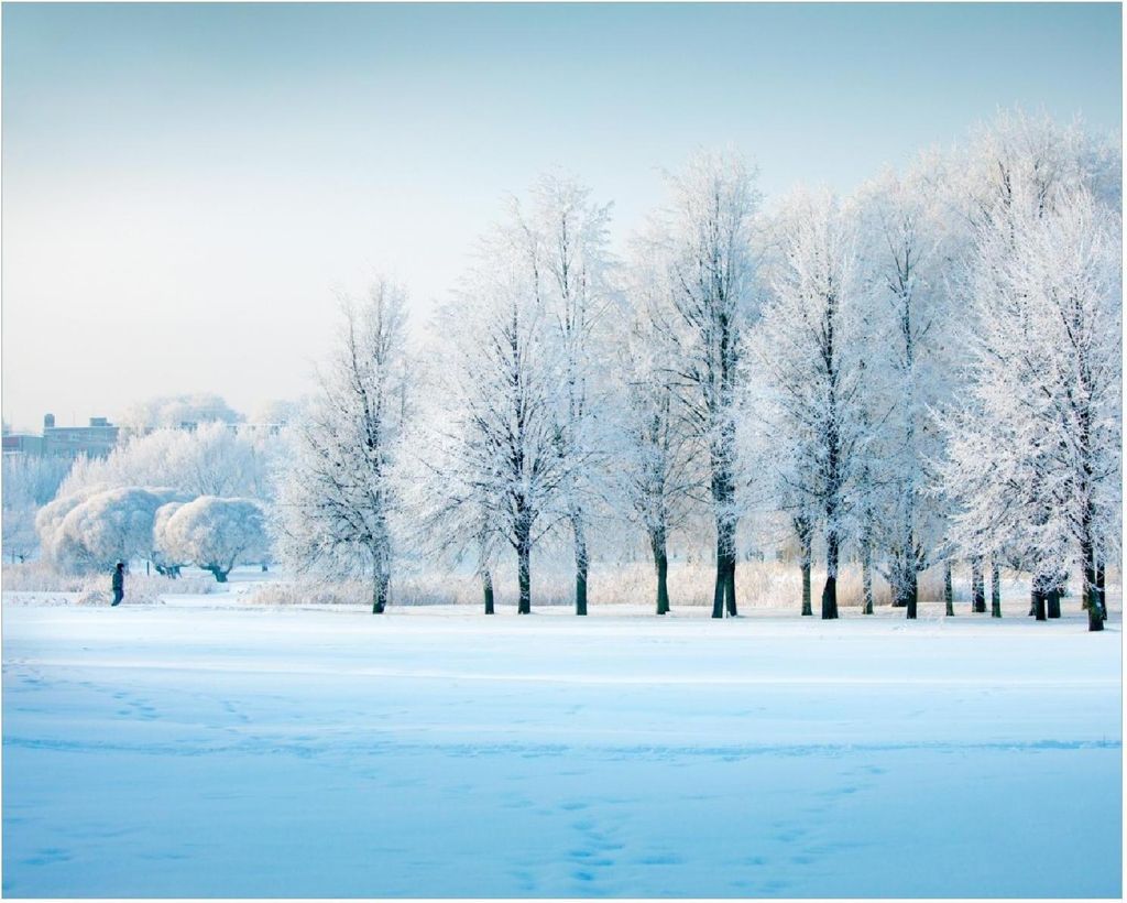 Wallario Poster - Verschneite Bäume in einer Winterlandschaft, Kunstdruck Größe: 40 x 50 cm