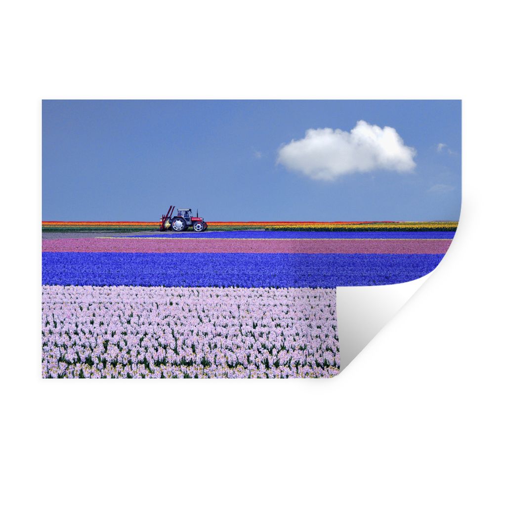 MuchoWow Wandtattoo Wandsticker Wandaufkleber Tulpenfeld 160x120 cm Selbstklebend und Repositionierbar - Selbstklebend - Fototapeten