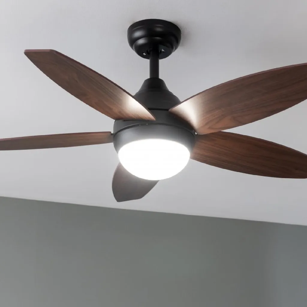 Ventilateur de plafond pour chambre avec télécommande et éclairage réglable - 5