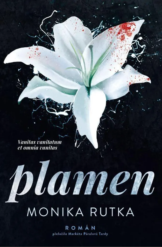 Roman Plamen Monika Rutka : Littérature Young Adult Contemporaine