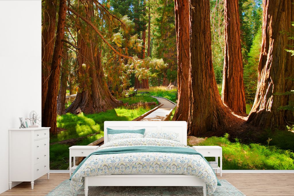 MuchoWow Fototapete für Wohnzimmer oder Schlafzimmer Wandtapete Vinyl Motivtapete Hölzerner Pfad durch den Sequoia National Park in Kalifornien...