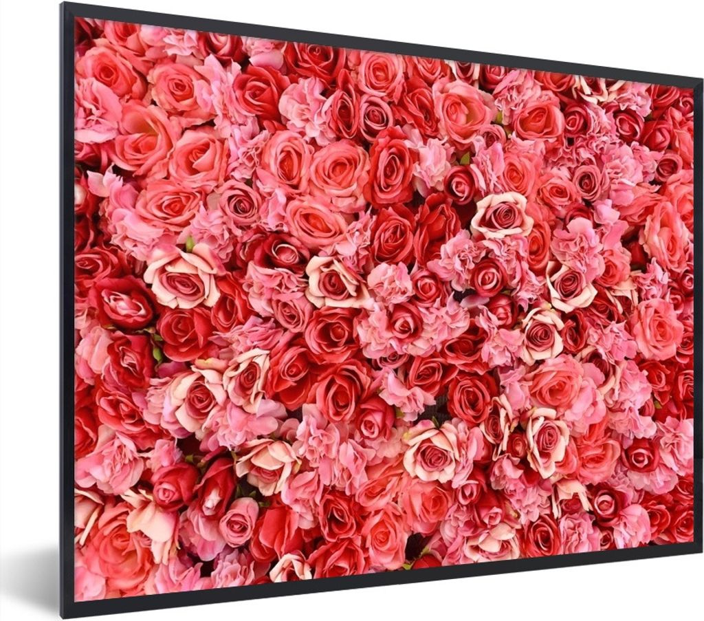 MuchoWow Gerahmtes Poster Rosen - Rosa - Rot 40x30 cm - Poster mit Schwarzem Bilderrahmen Wandposter Rahmen Foto Bilder - Kunstposter - Wanddekor...
