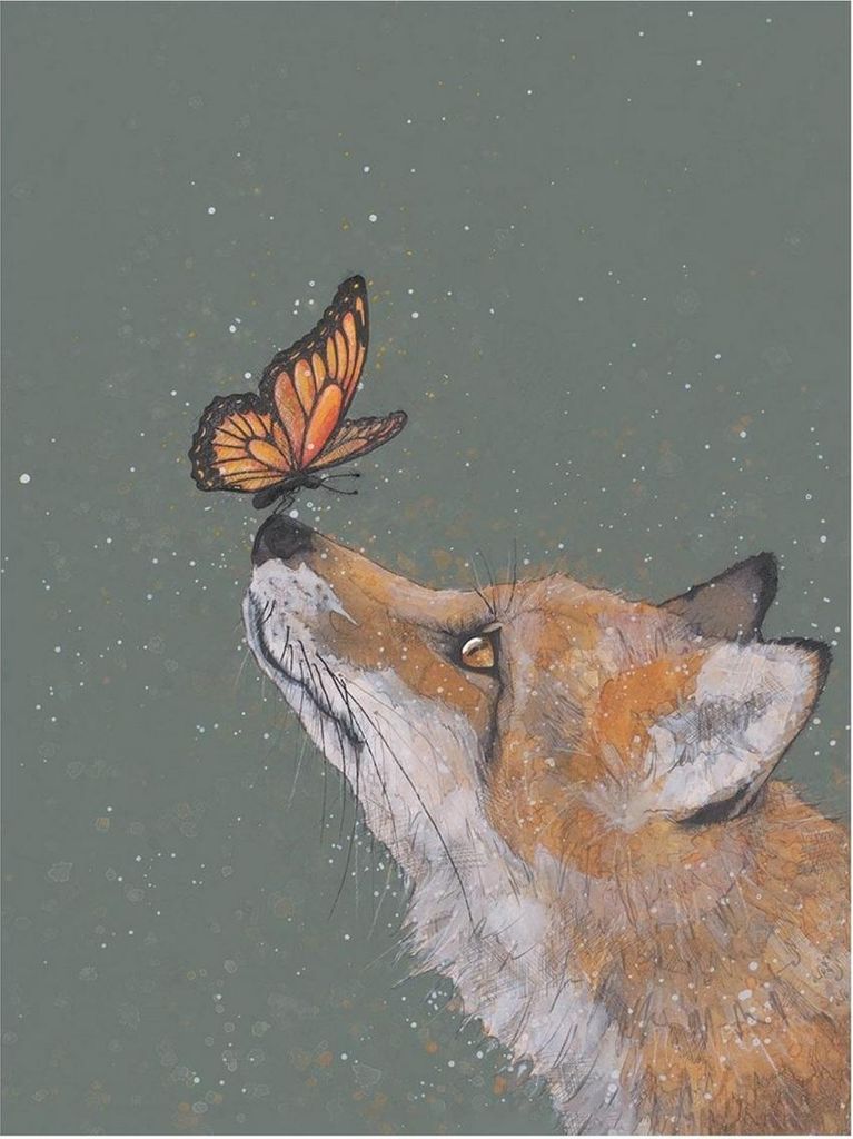 Bev Davies - "The Fox And The Butterfly" Leinwanddruck PM13285 (80 cm x 60 cm) (Orange/Weiß/Gedämpftes Grün)