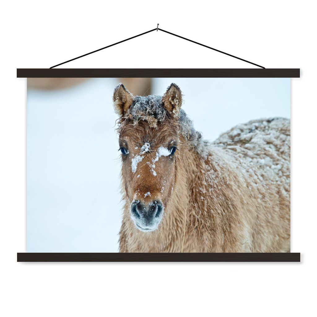 MuchoWow Textilposter Junges Fjordpferd mit Schnee bedeckt 150x100 cm mit schwarzem Rahmen - Schlafzimmer