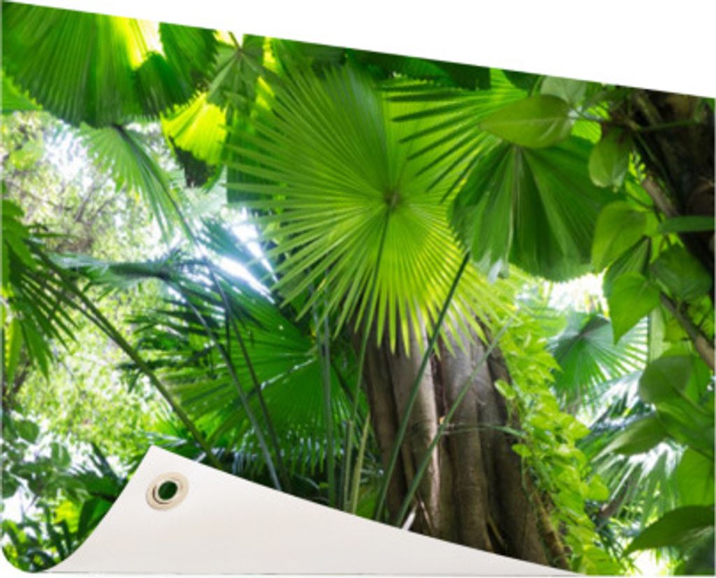 MuchoWow 120x90 cm Outdoor-Poster Gartendeko Sichtschutz Garten Poster für den Garten Tropischer Regenwald