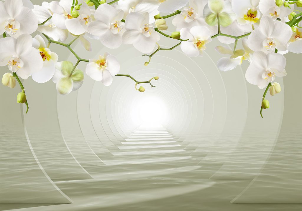 Vlies Fototapete 3D Effekt 400x280 cm Tapeten Wandtapete XXL Tunnel Orchidee Blumen Abstrakt b-C-1039-a-a