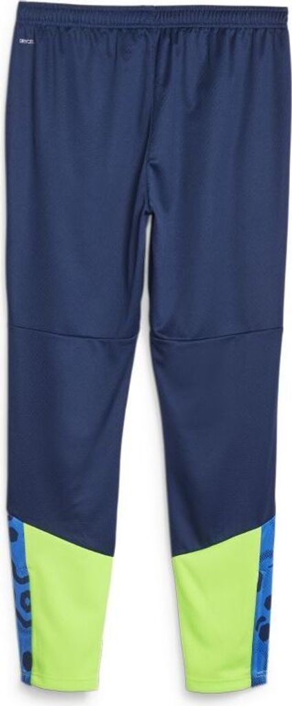 Puma IndividualCUP Fußball-Trainingshose Herren blau pro grün Gr S