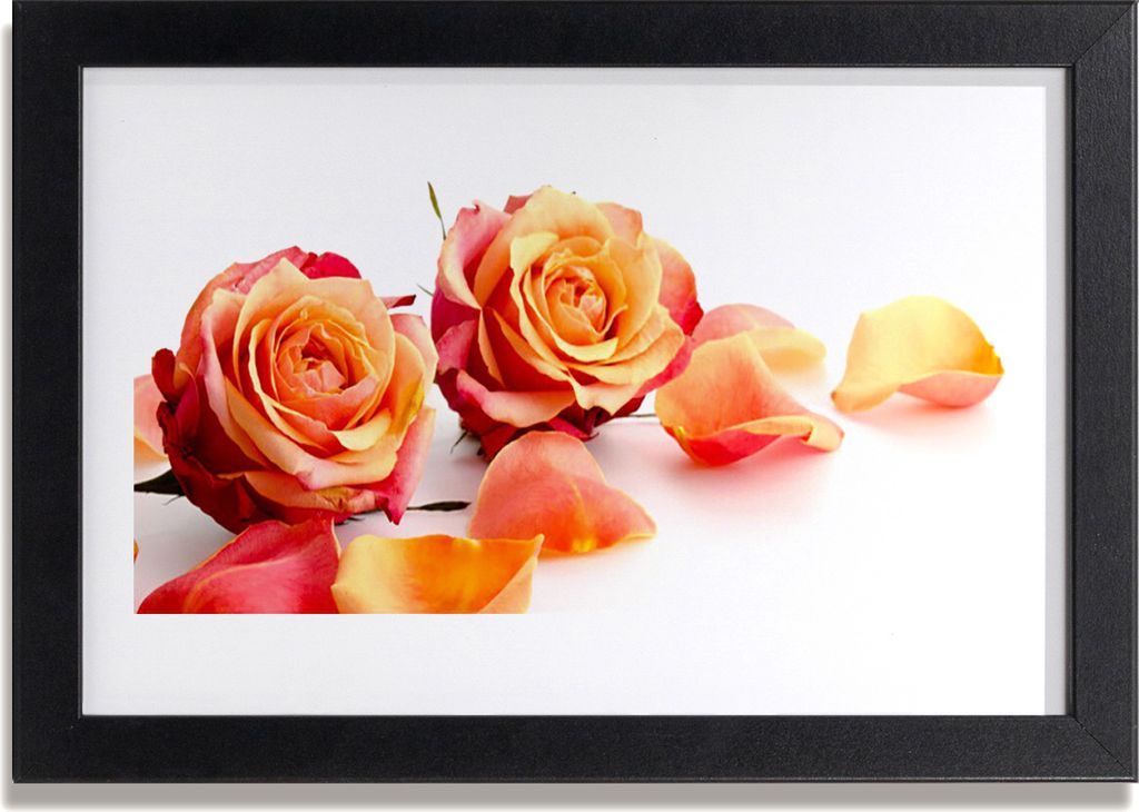 Bild 30x20 MDF-Rahmen Wandkunst Rosen Blumen Pflanzen Produktbild 