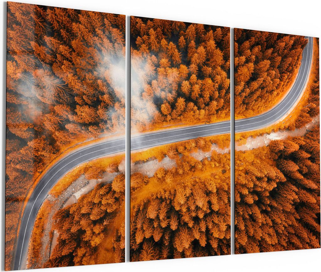 DEQORI Glasbild Echtglas 3x50x100 cm 'Herbstlicher Kiefernwald' Wandbilder XXL groß