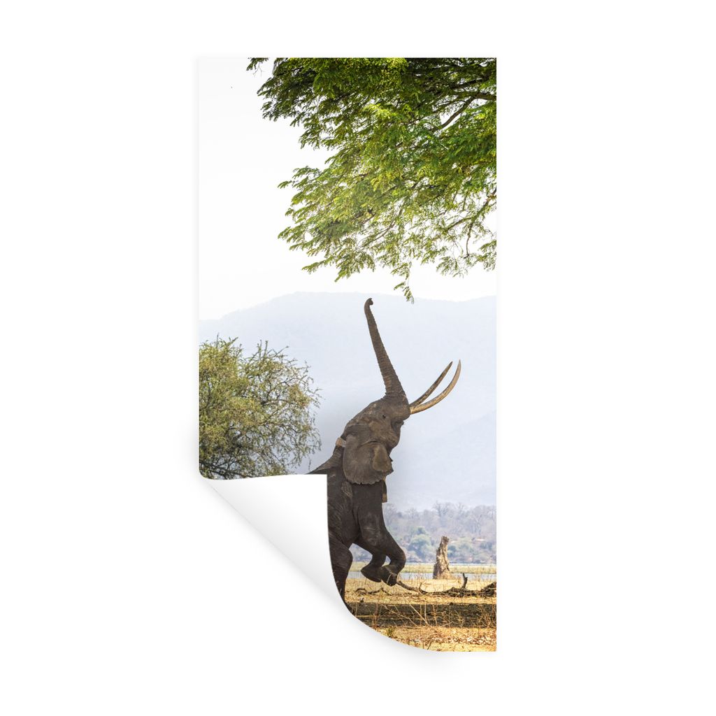 MuchoWow Wandtattoo Wandsticker Wandaufkleber Elefant - Baum - Blätter 40x80 cm Selbstklebend und Repositionierbar - Repositionierbar - Wasser a...