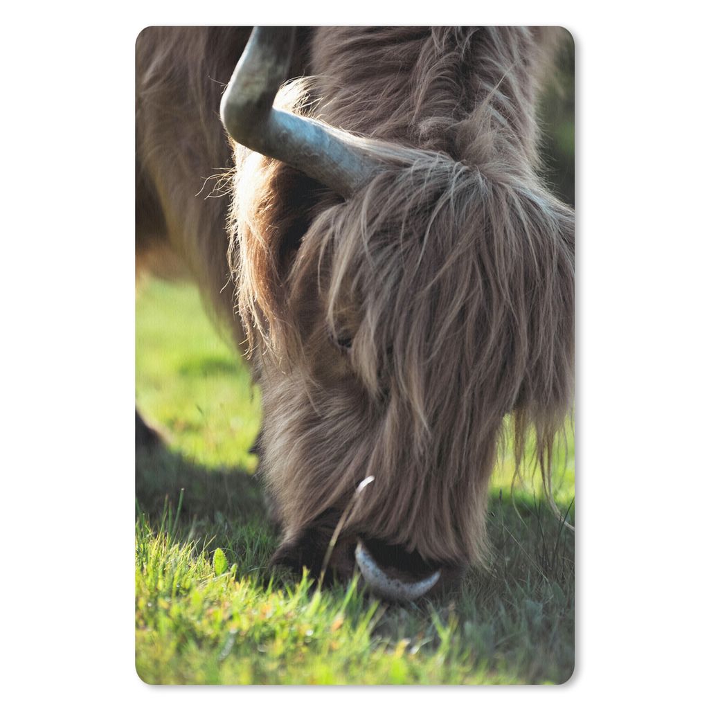MuchoWow Mauspad Mousepad Schottischer Highlander - Hörner - Sonne 40x60 cm - Mousepads - Maus Mat - Pad - Mausunterlage - Schreibtisch Accesoire