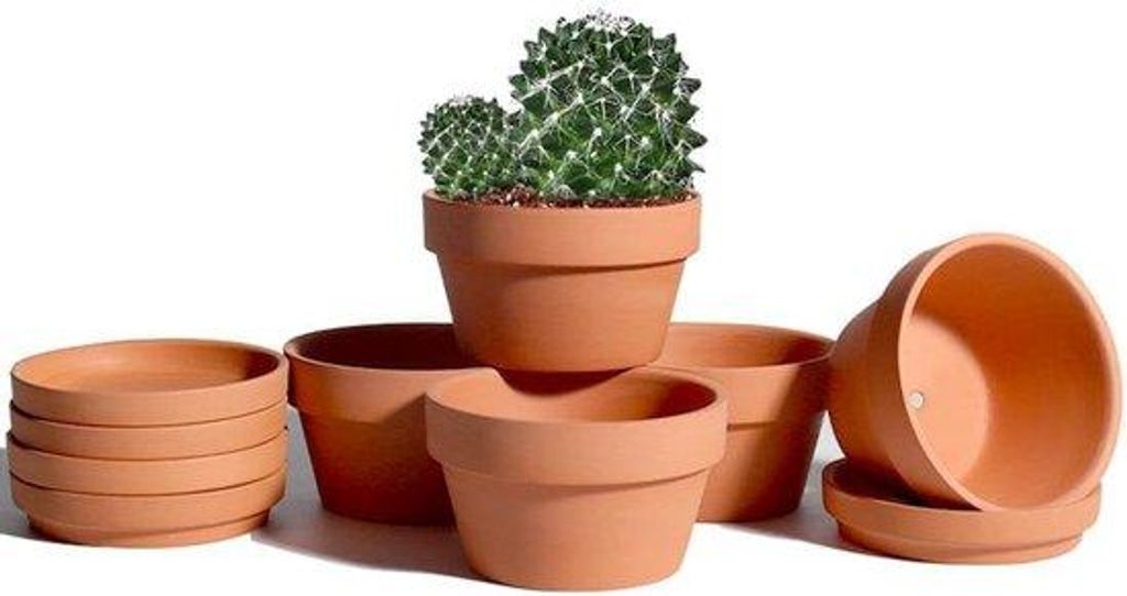 Famanu Terracotta Pflanzentöpfe Set von 6 Stück mit Untersetzern - 5,7 Zoll
