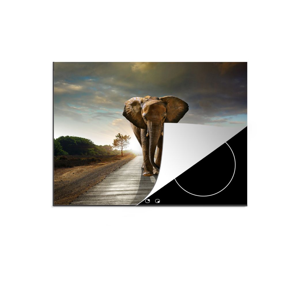 KitchenYeah Herdabdeckplatte Elefant - Straße - Tiere - Sonnenuntergang - Landschaft , 60x52cm, Küche Deko, Glaskeramikkochfeld Herdabdeckung, ...