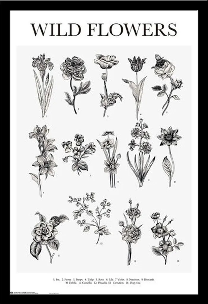 Poster Fleurs Sauvages pour Salon avec Cadre Shinsuke® Vitre Acrylique