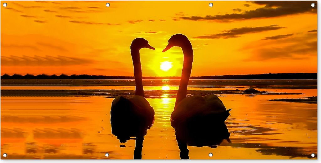 MuchoWow 160x80 cm Outdoor-Poster Gartendeko Sichtschutz Garten Poster für den Garten Schwäne - Sonnenuntergang - Vogel - Orange - Wasser